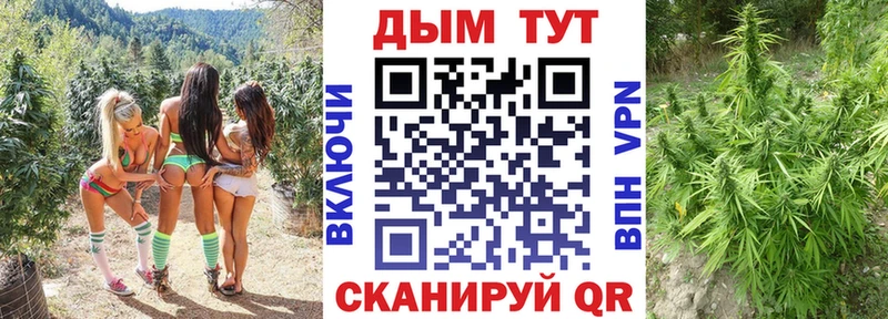 блэк спрут как войти Спас-Деменск Конопля OG Kush
